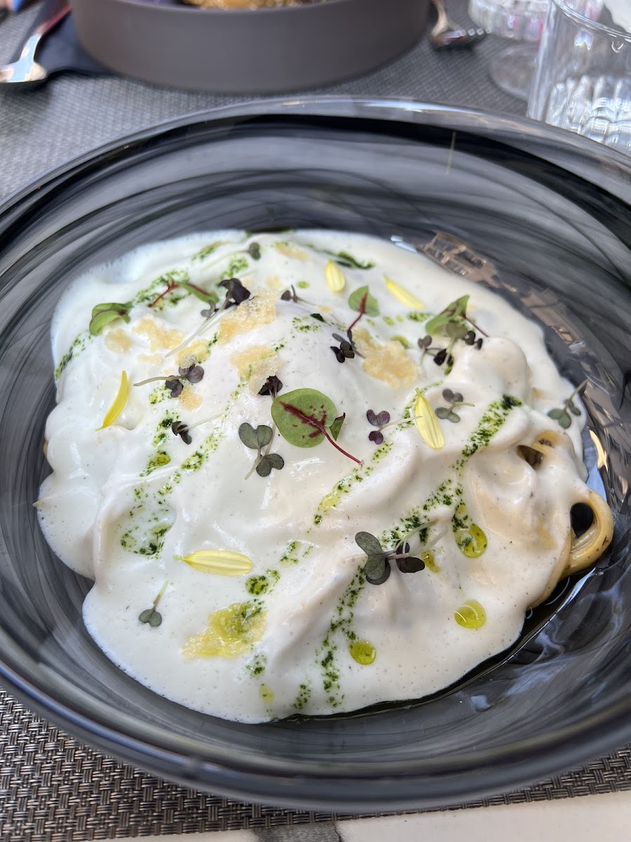 Umami Taste Photo 10