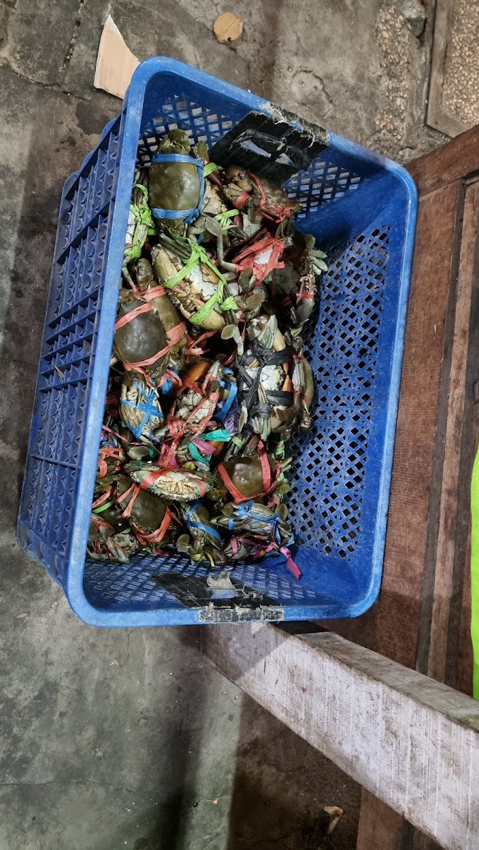 Rumah Makan Sari Laut CJDW Photo 5