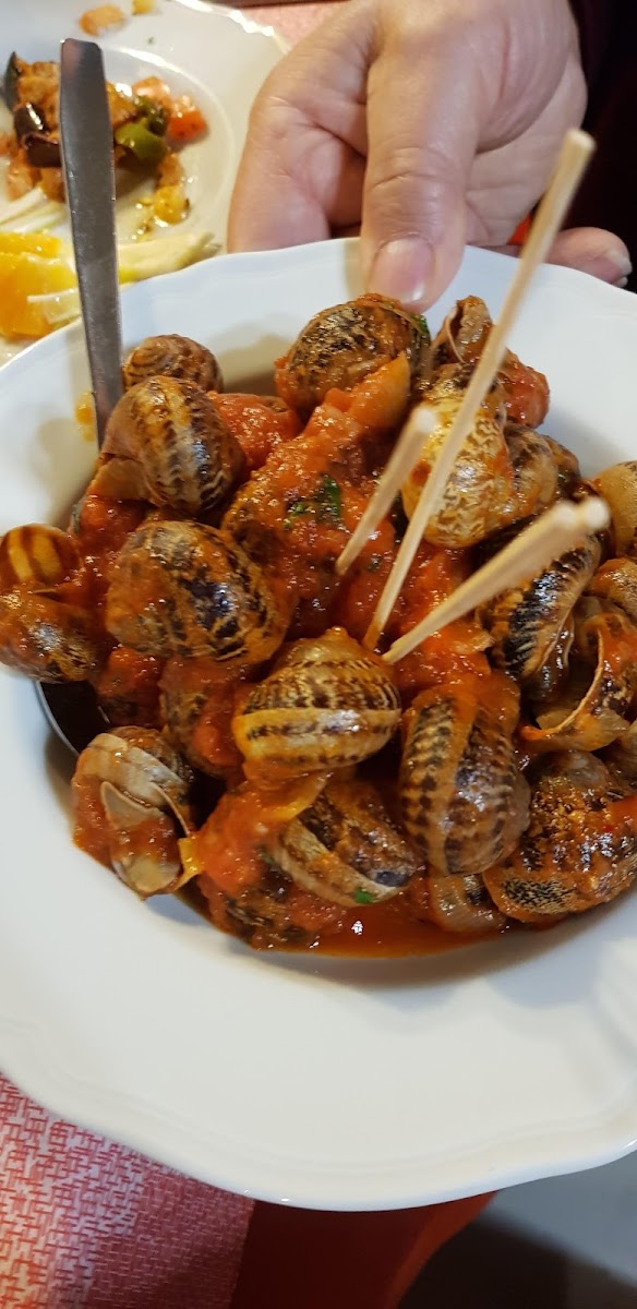 VECCHIO AQUARIUM RISTORANTE Photo 9