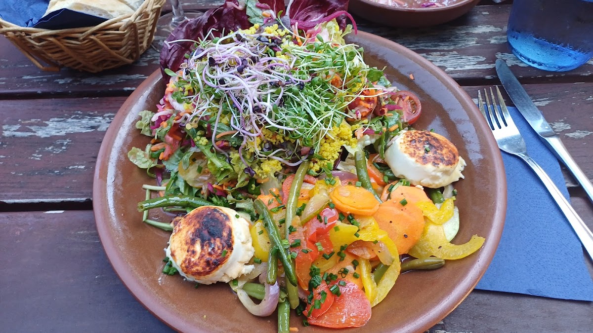 Welz Gastro GmbH
