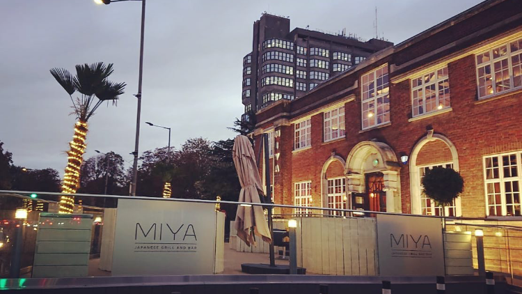Miya Japanese Grill and Bar Photo 4