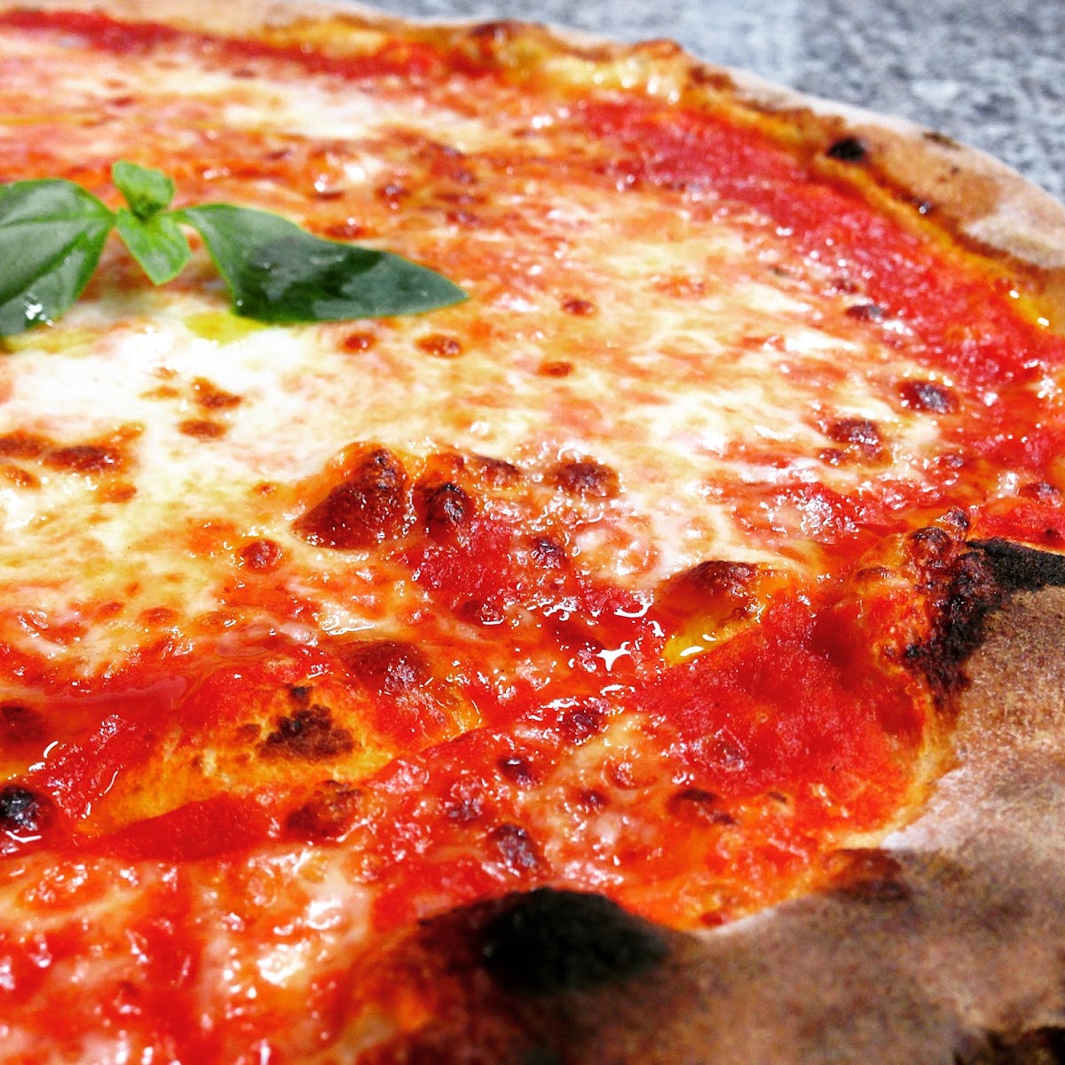 Speedy Pizza da Claudio RONCADELLE Photo 4
