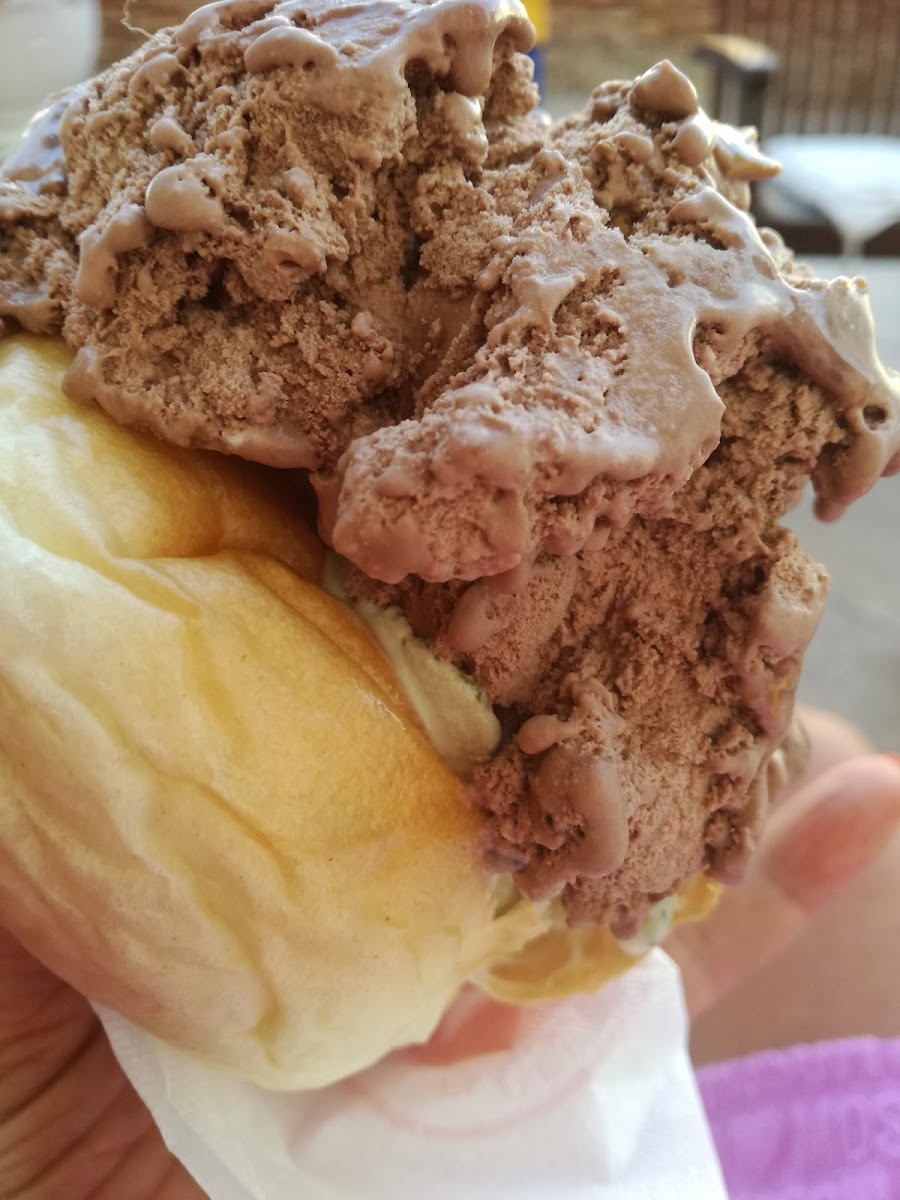 GELATERIA SIGEL D AMiCO srl Photo 9
