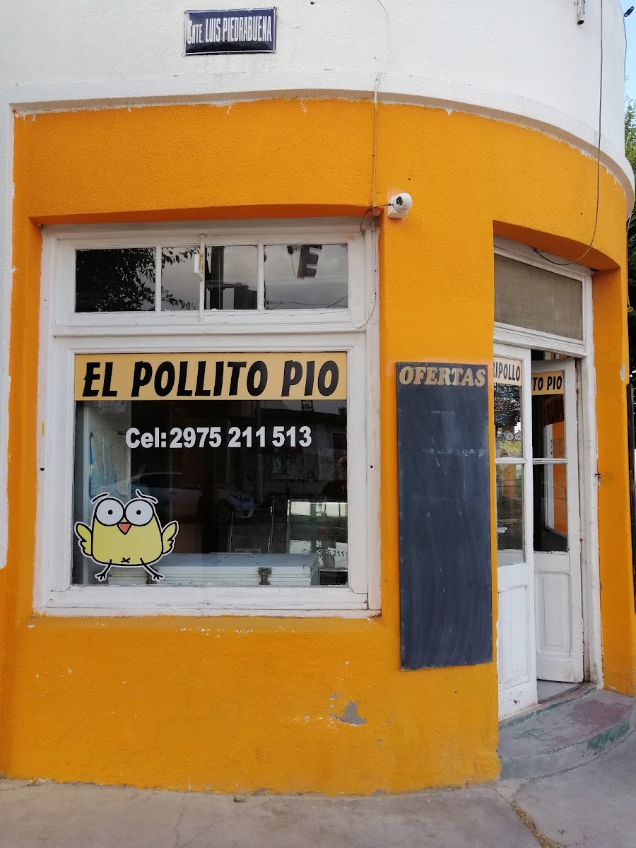 Pollito Pio