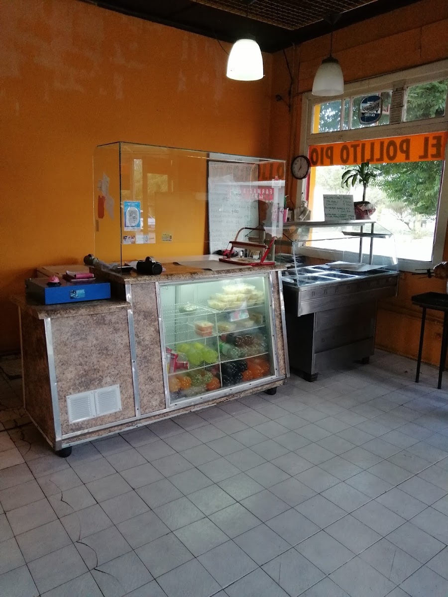 Pollito Pio Photo 3