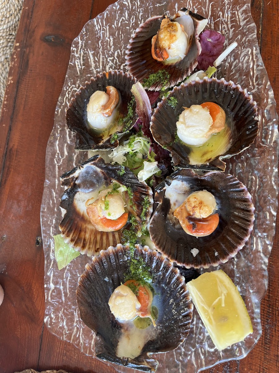 Restaurante Ripoll Photo 8