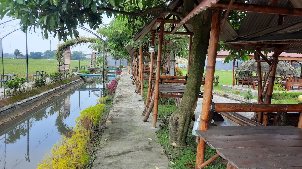 Mbale Seduh Photo 4