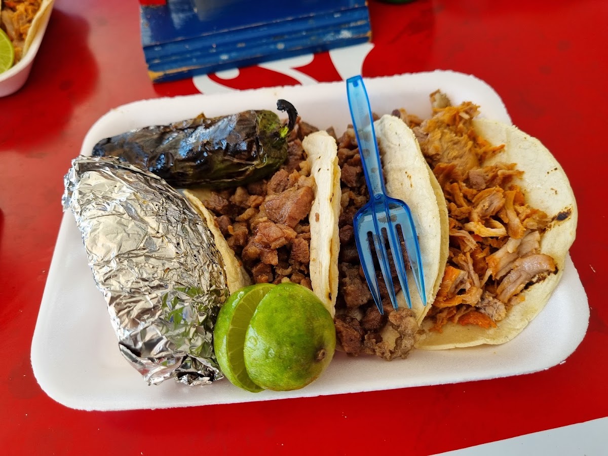 Carnitas y Carne Asada “El Gitano” GC Photo 6