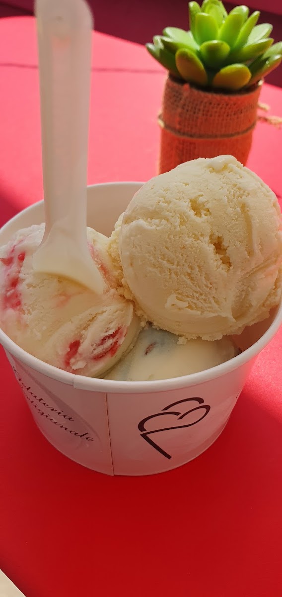 Justine au Pays des Glaces Photo 5
