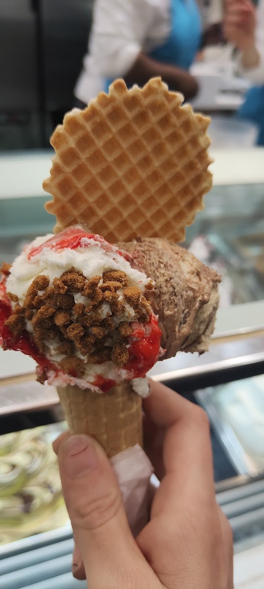 Gelateria Artigianale Centopercentogusto Photo 3