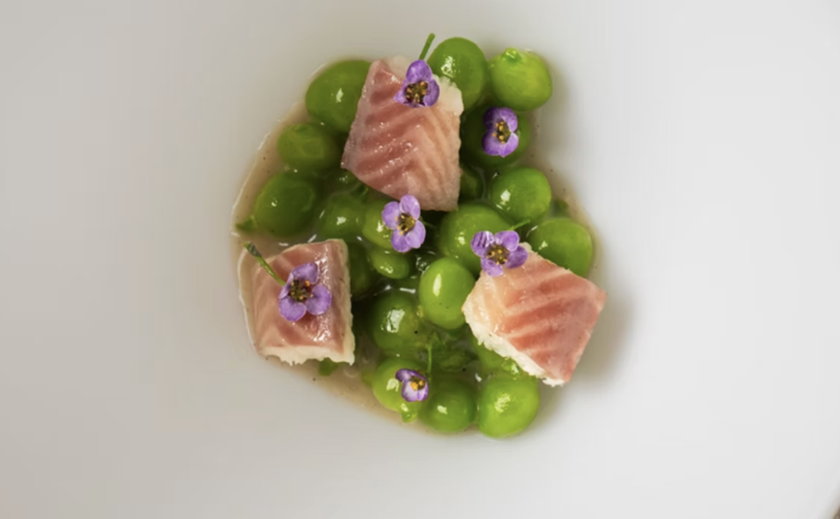 Palodú | Restaurante Centro de Málaga | Menú degustación Photo 3