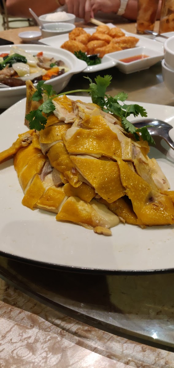 TOP YAMMIE Photo 6