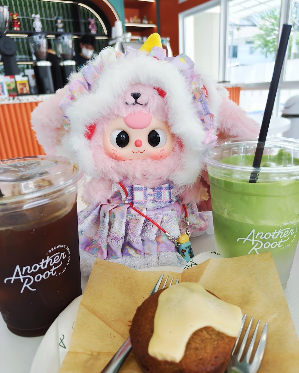 Anotherroot Photo 6