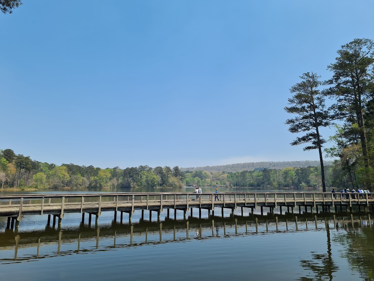 Discovery Cafe at Callaway Gardens Photo 3