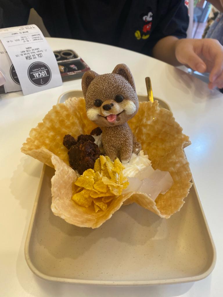 LOCAL ICE CREAM Photo 5