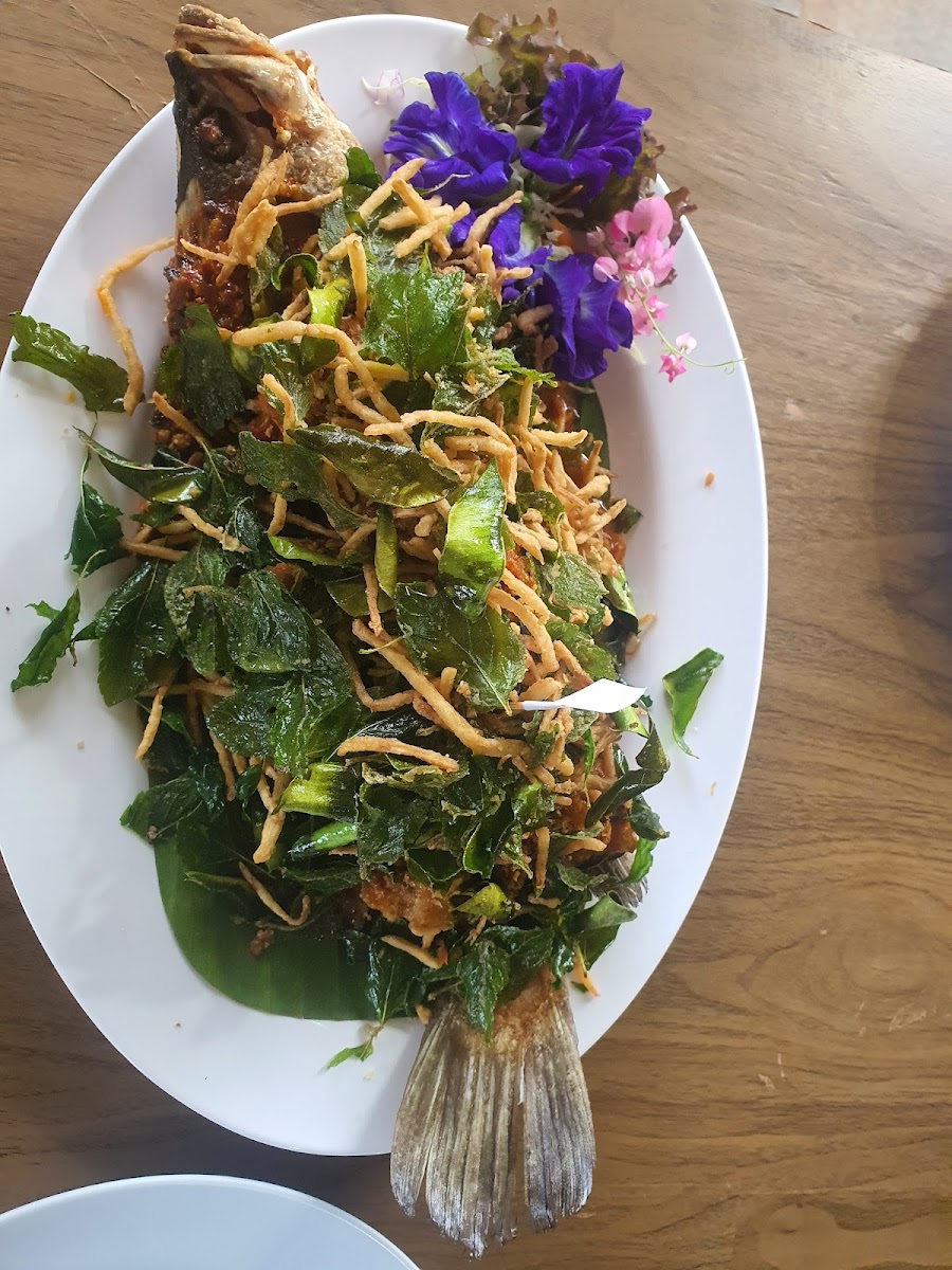 bruda bay seafood Photo 6
