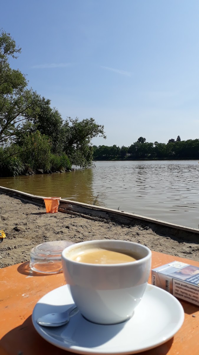 Stattstrand Koblenz Photo 8