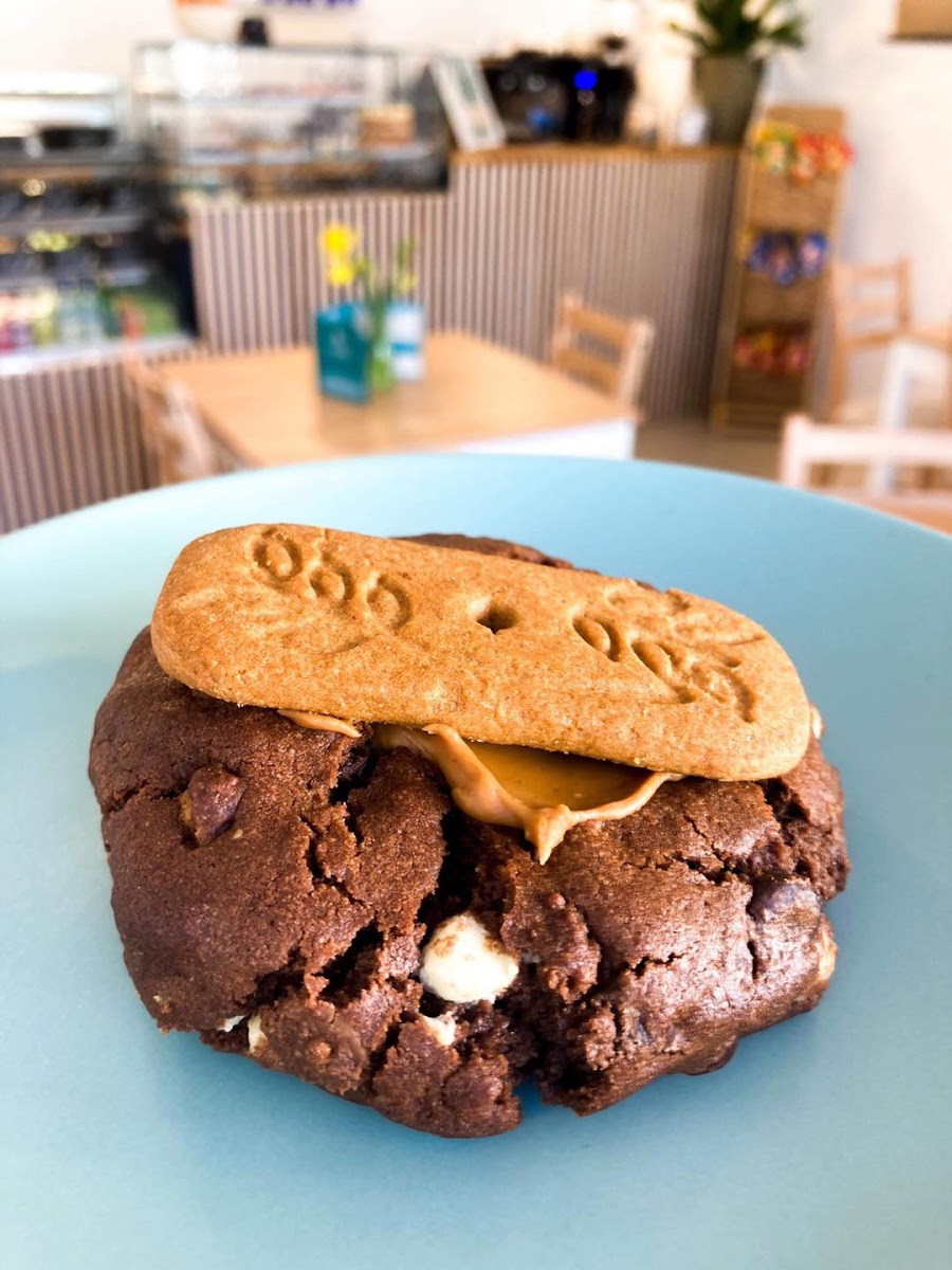 Treacle's Cafe and Sandwich Bar Photo 10