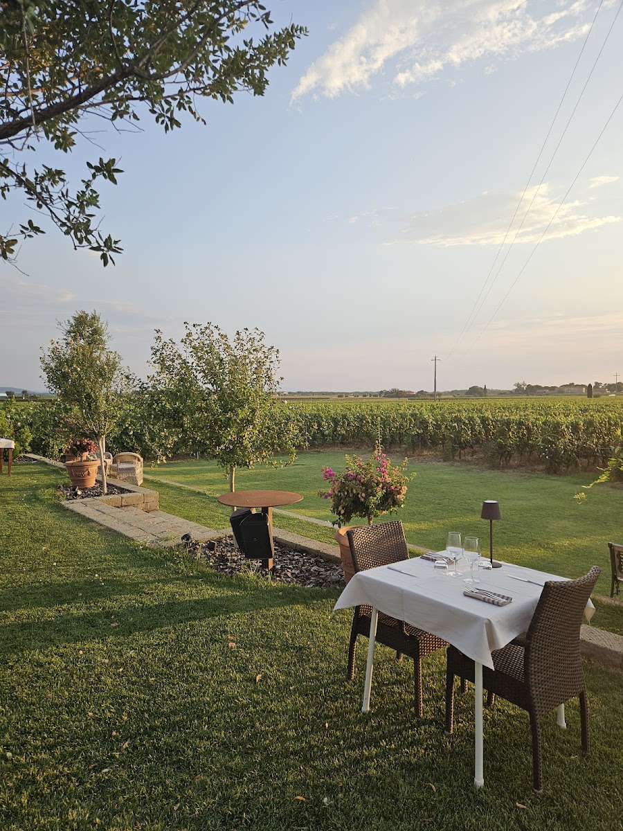 Ristoenoteca Imperiale Bolgheri Photo 4