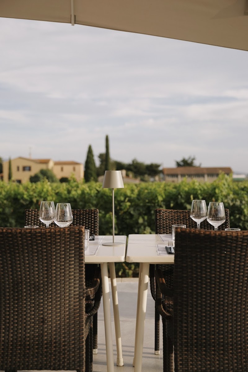 Ristoenoteca Imperiale Bolgheri Photo 9
