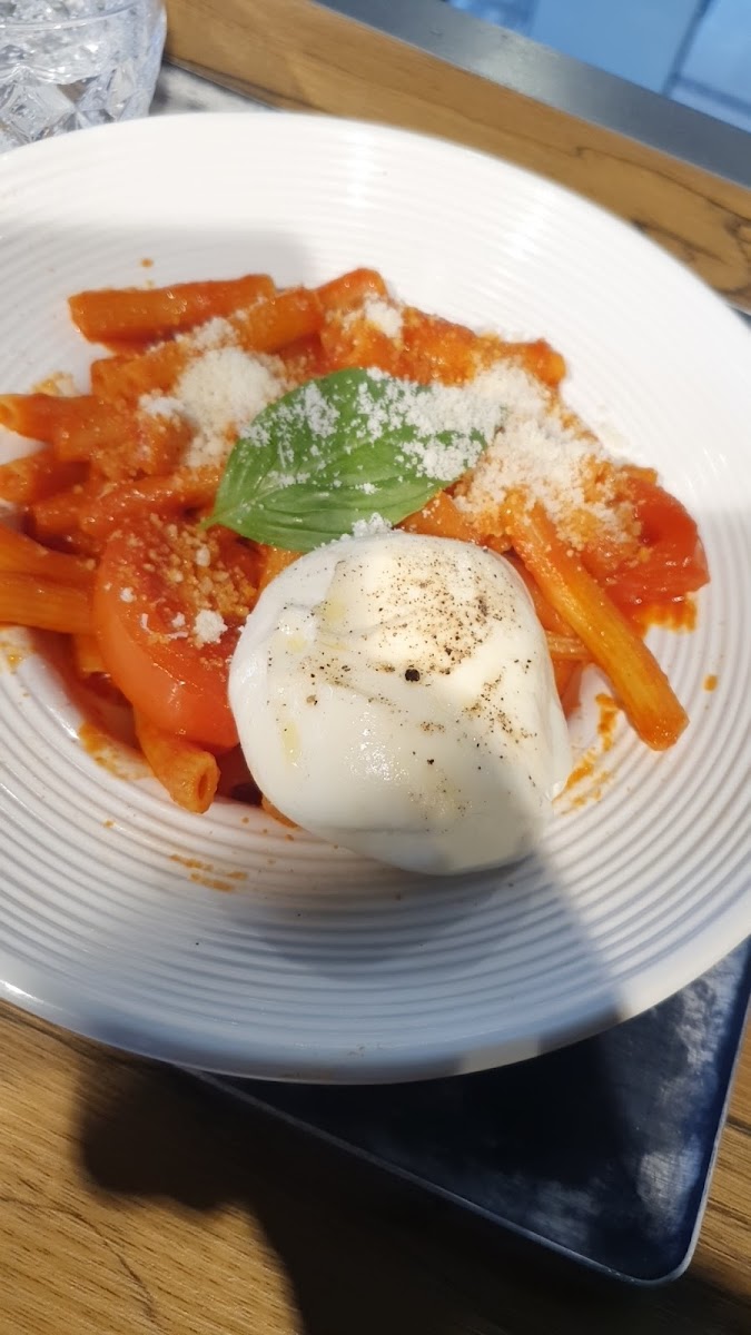 IT Trattoria Photo 10