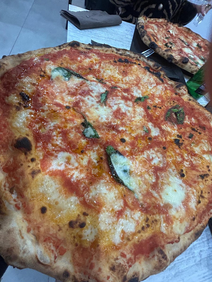 Pizzeria Terra Mia Photo 5