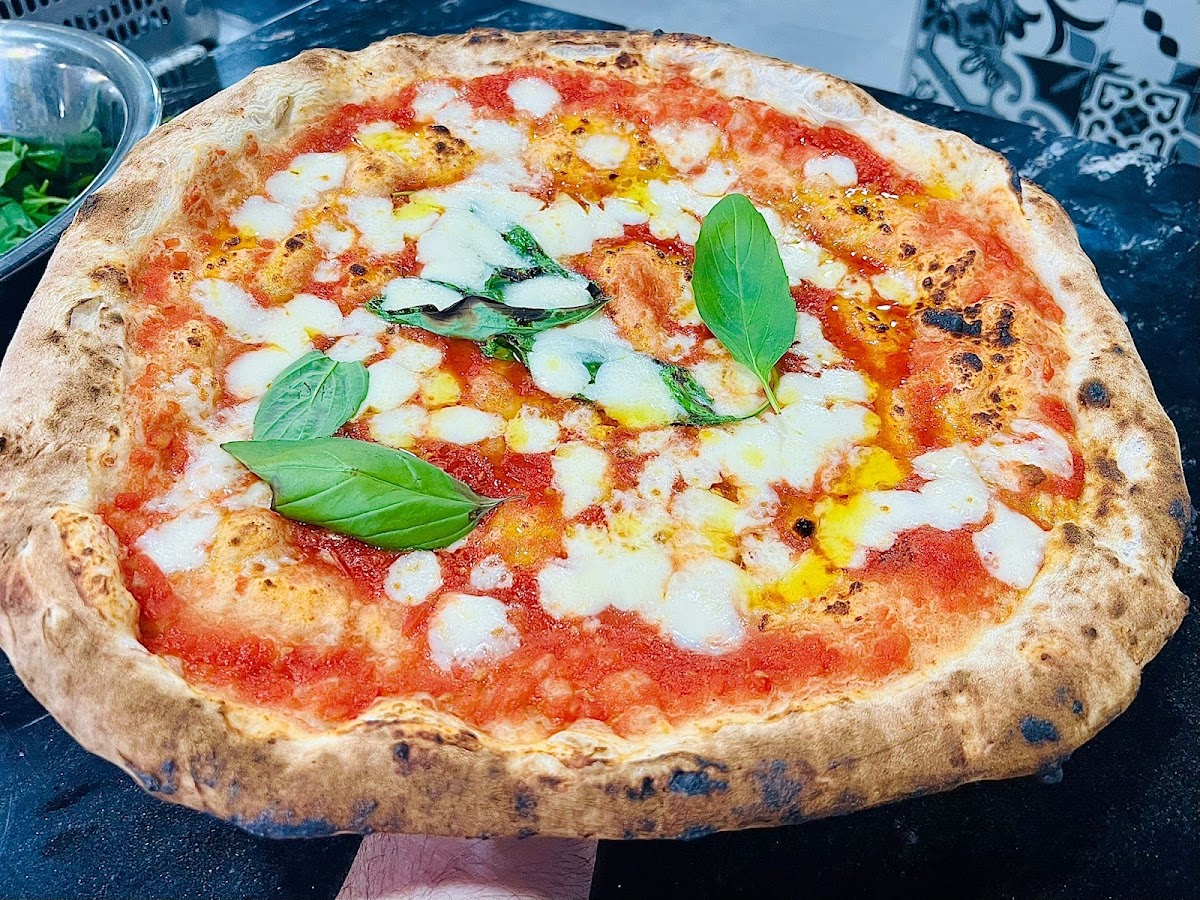 Pizzeria Terra Mia Photo 8
