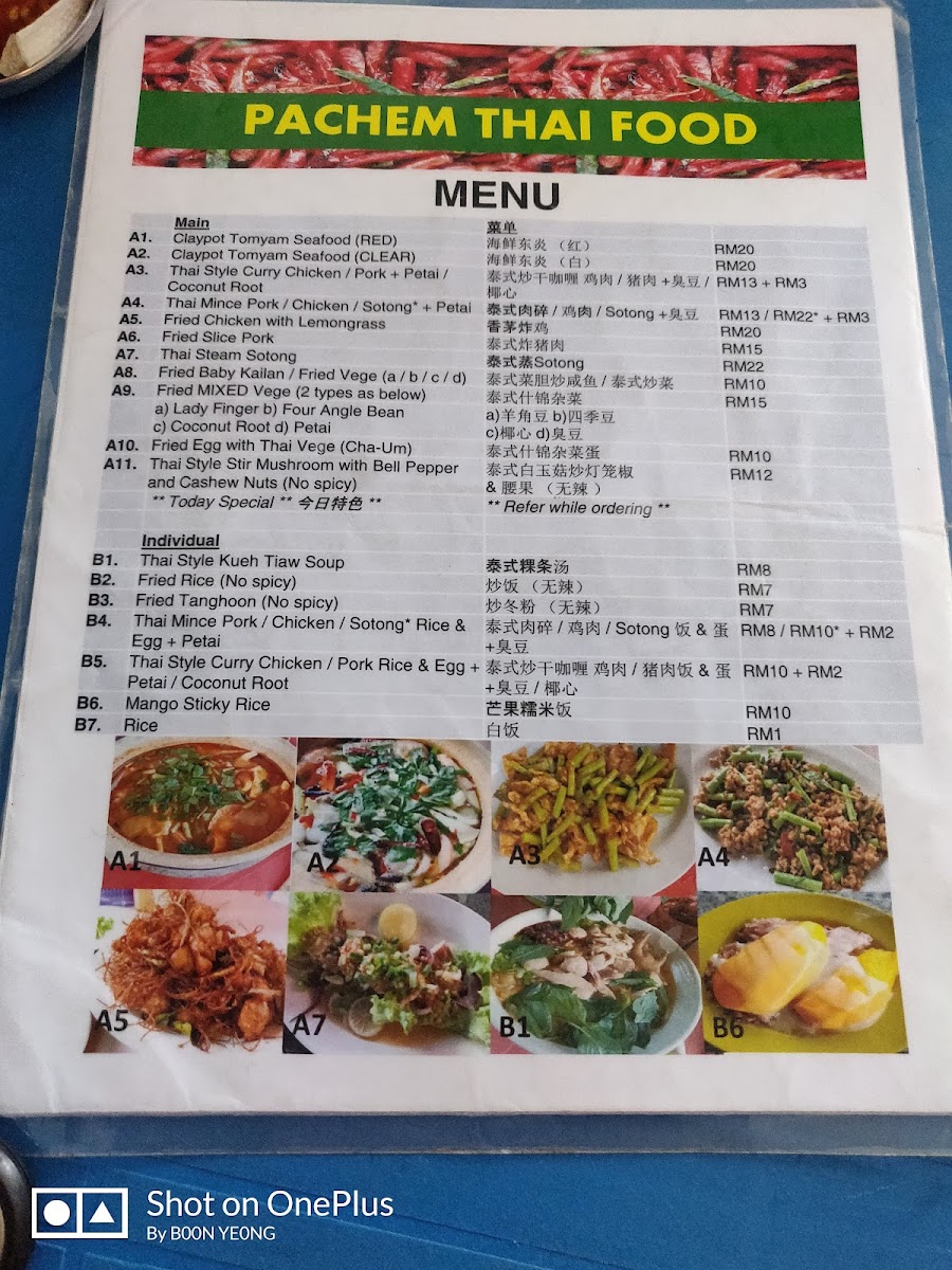 Pachem Thai Food Photo Menu 10