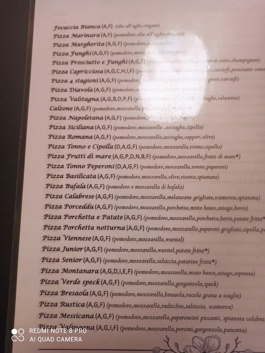 Alla Villetta Photo Menu 7
