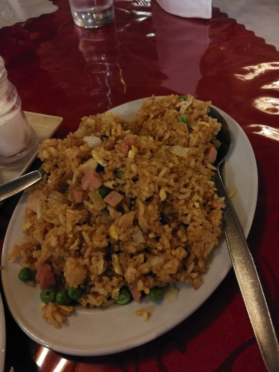 Ocean Palace Licensed Chinese Restaurant Photo 5