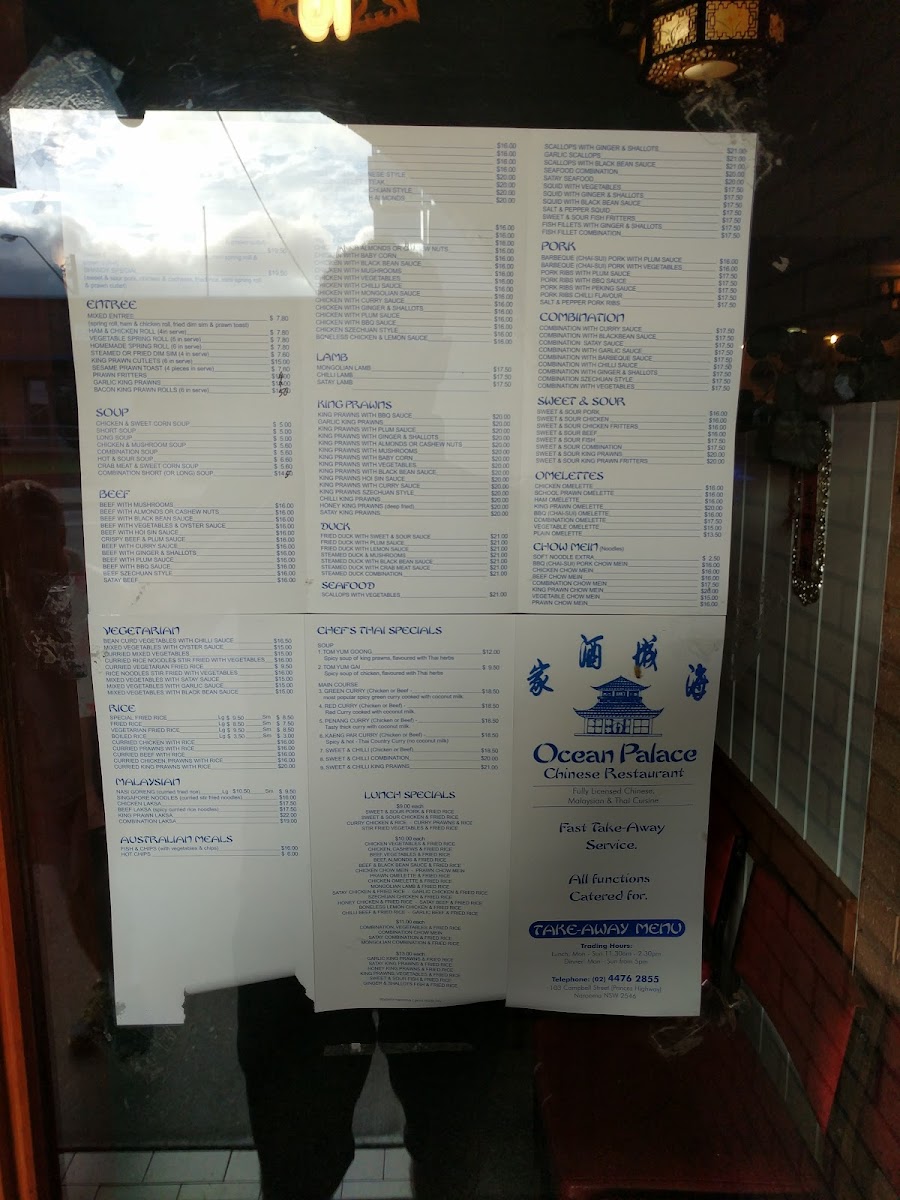 Ocean Palace Licensed Chinese Restaurant Photo Menu 7