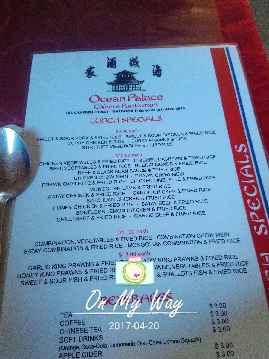 Ocean Palace Licensed Chinese Restaurant Photo Menu 8