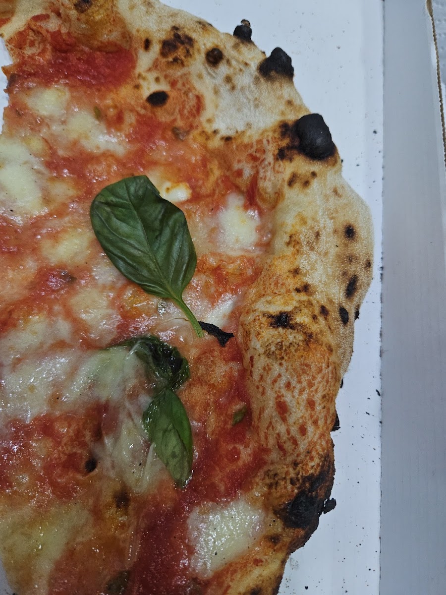 Gemelli Petrillo Photo 5