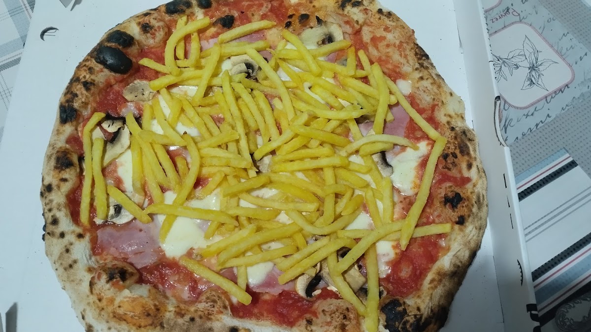Gemelli Petrillo Photo 6