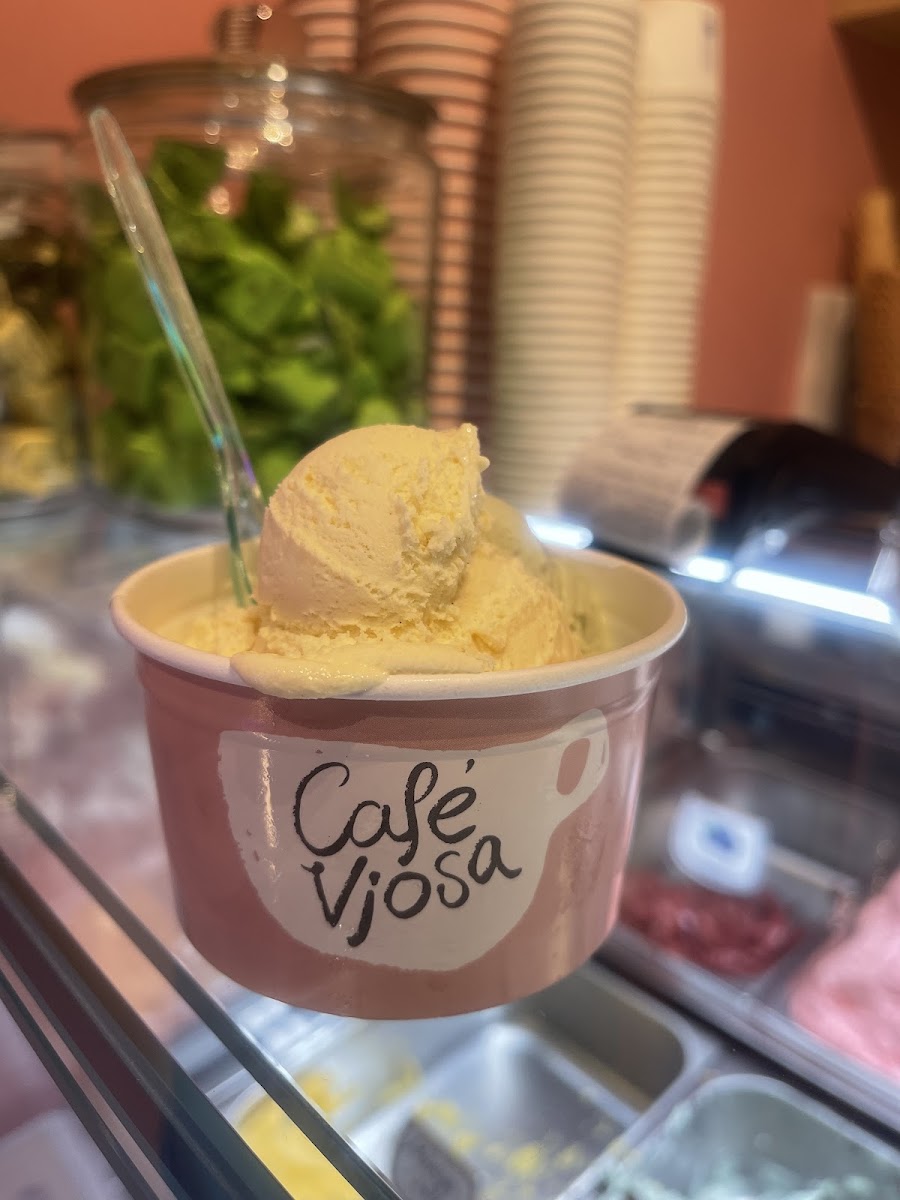 Café Vjosa Photo 6