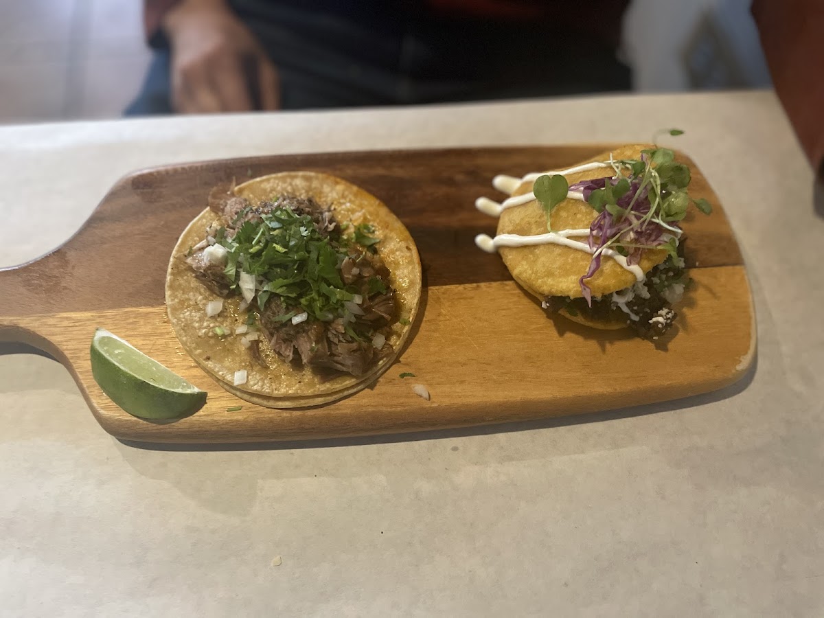 Tavos Signature Cuisine Photo 7