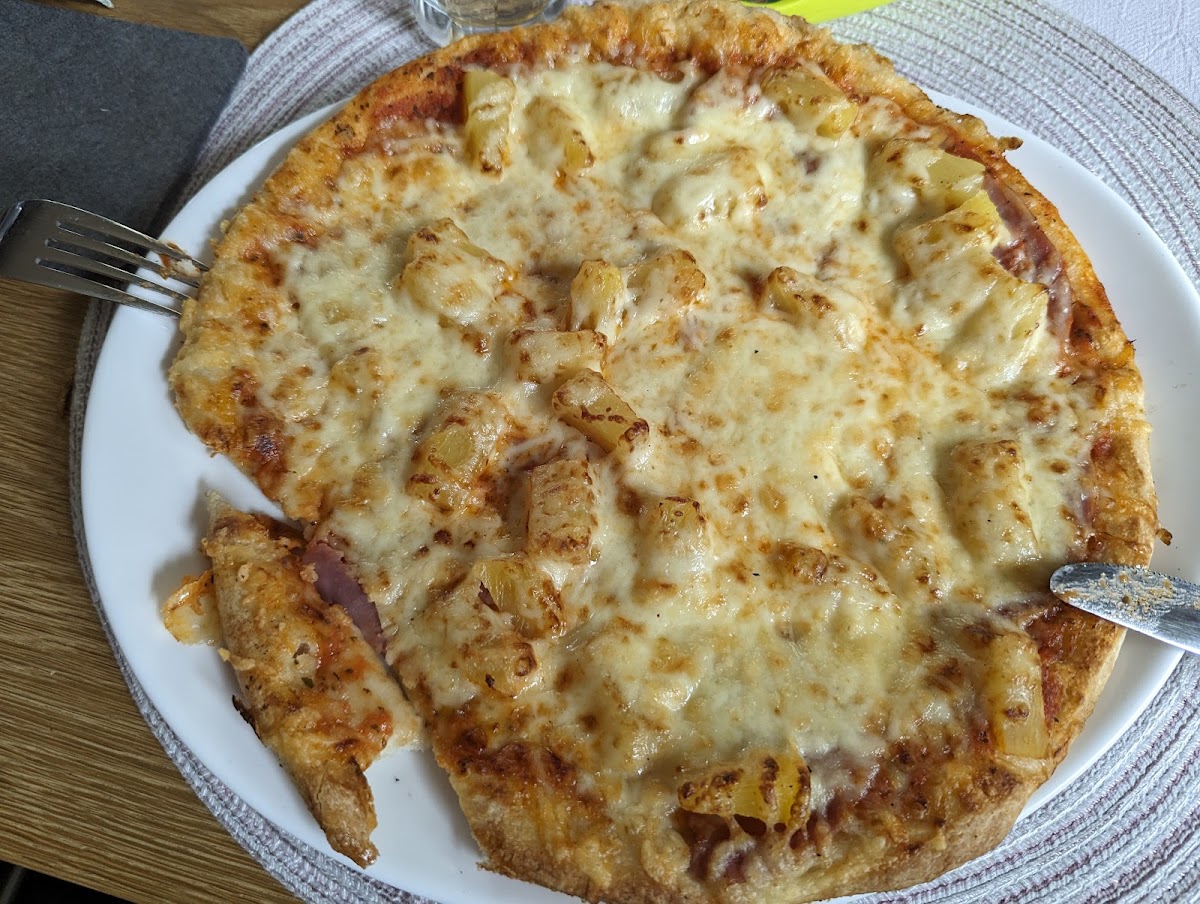 Gameiro Pizza Service Porta / Minden Photo 4