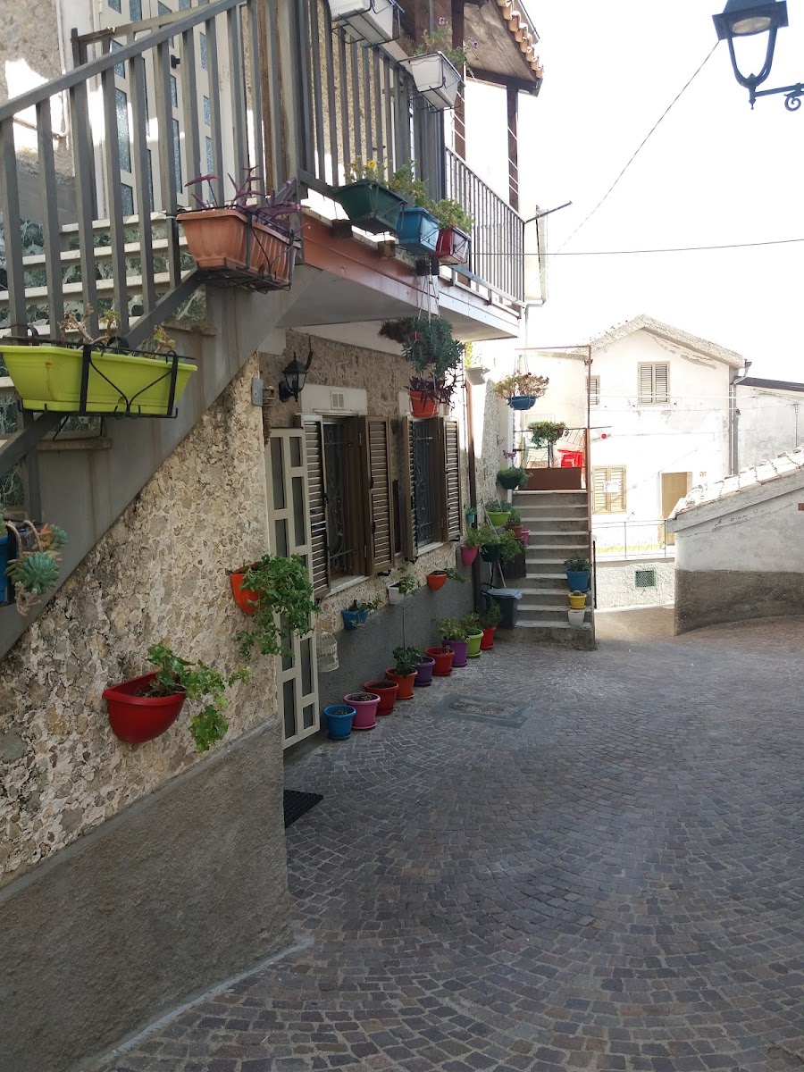 Bar Mercuri Photo 4