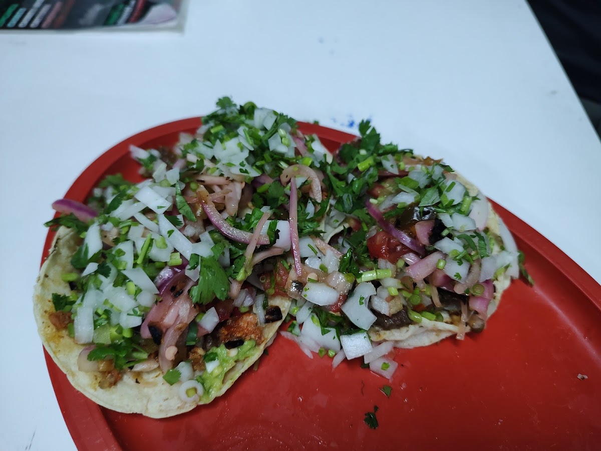 Tapicoso Photo 5