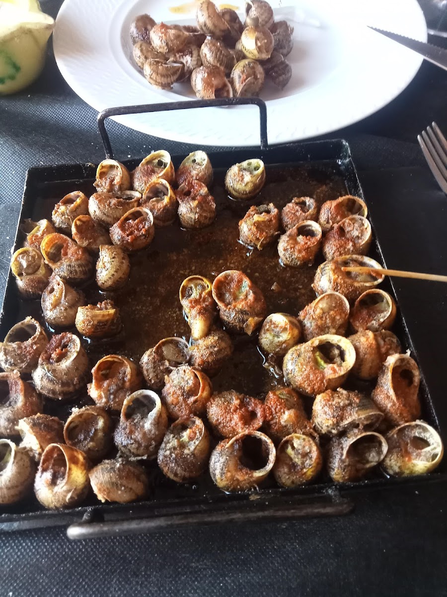 Bar Restaurant Casal Photo 5