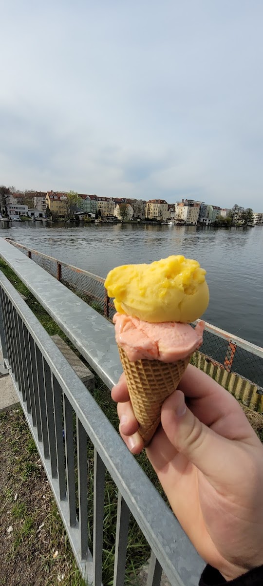 Eisbar Friederici (March to October) Photo 7
