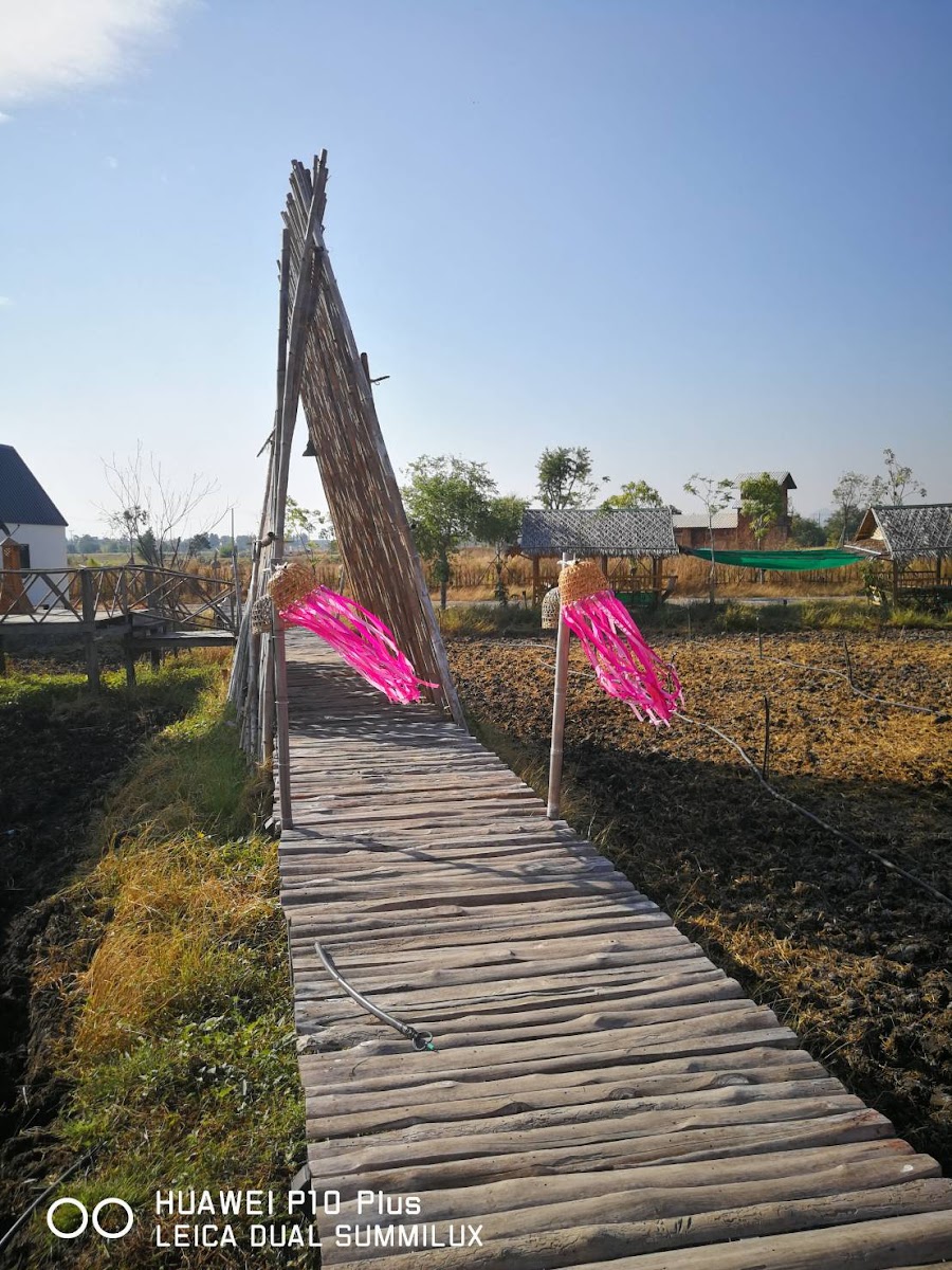 PAUSE Cafe & Homestay Lopburi Photo 4