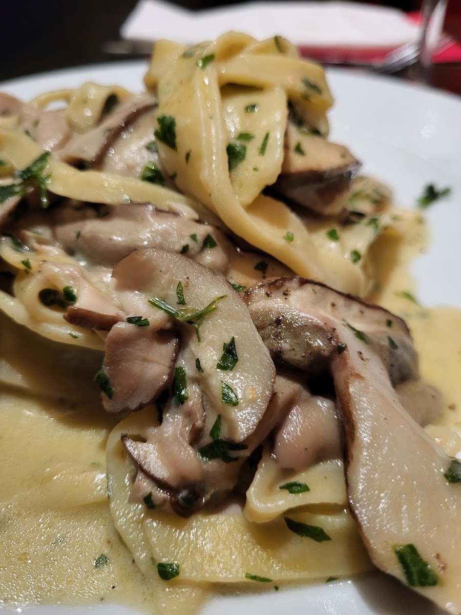 La Piccola Italia Photo 5