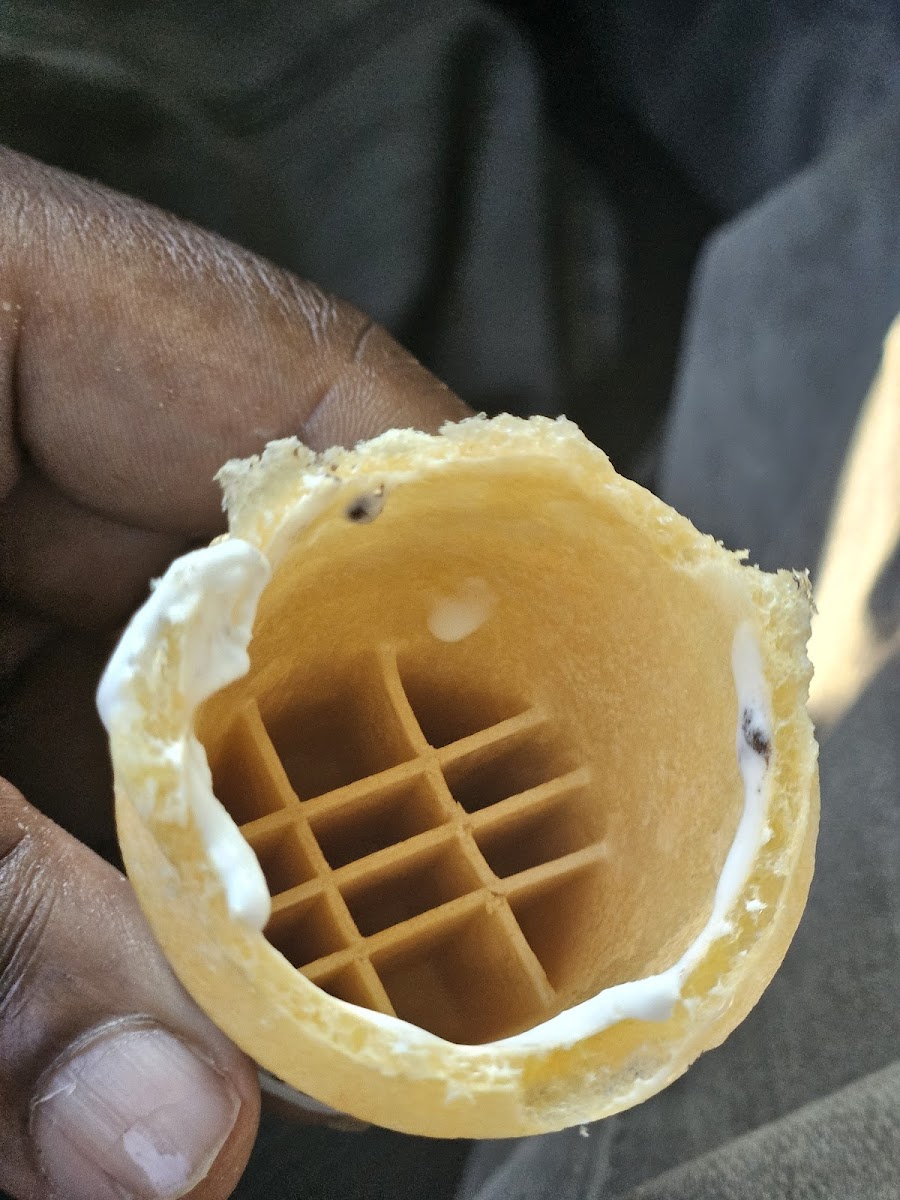 Bruster's Real Ice Cream Photo 10