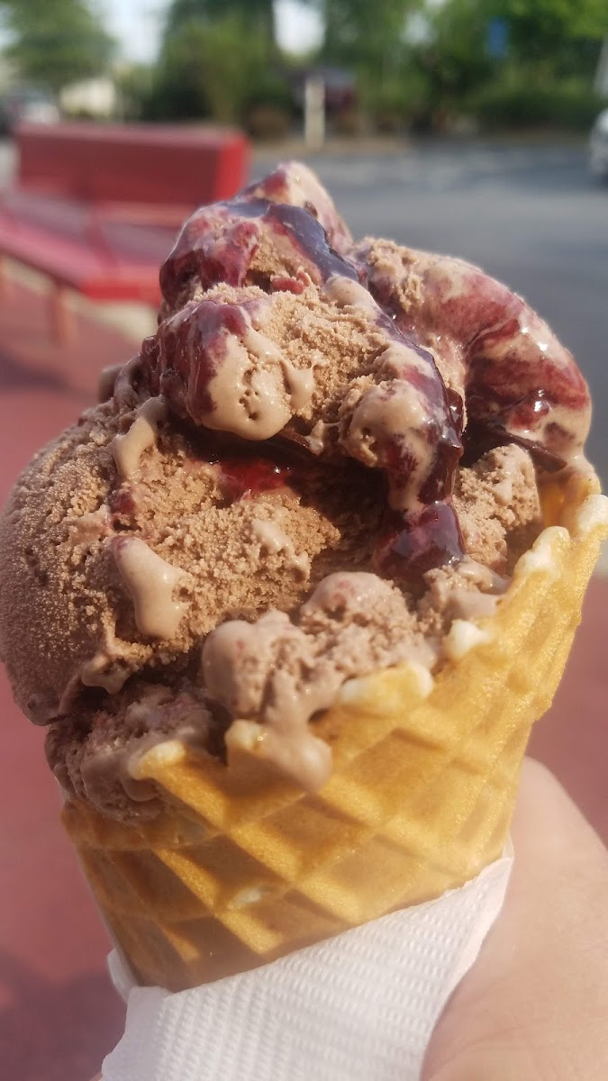 Bruster's Real Ice Cream Photo 6