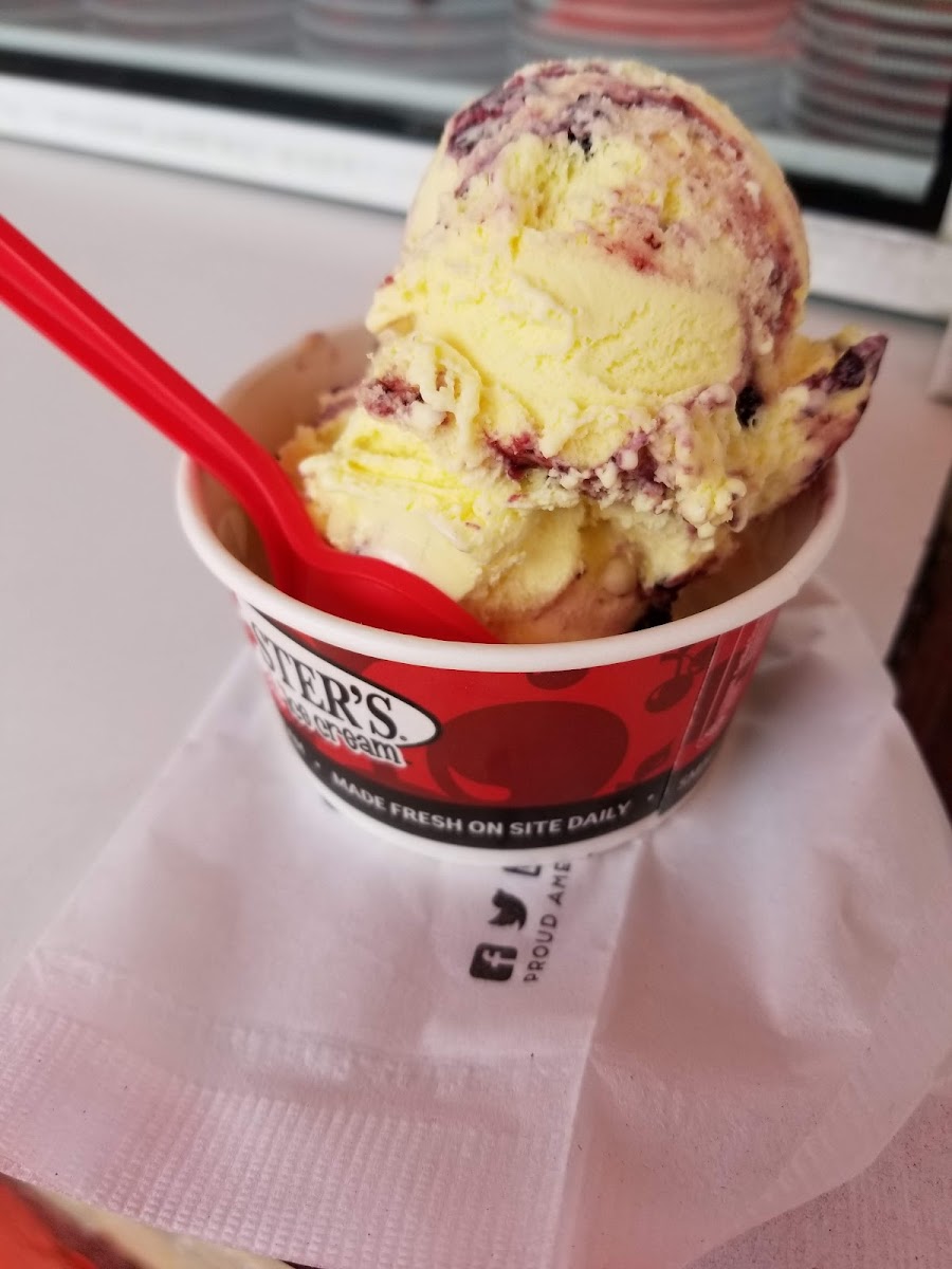 Bruster's Real Ice Cream Photo 7