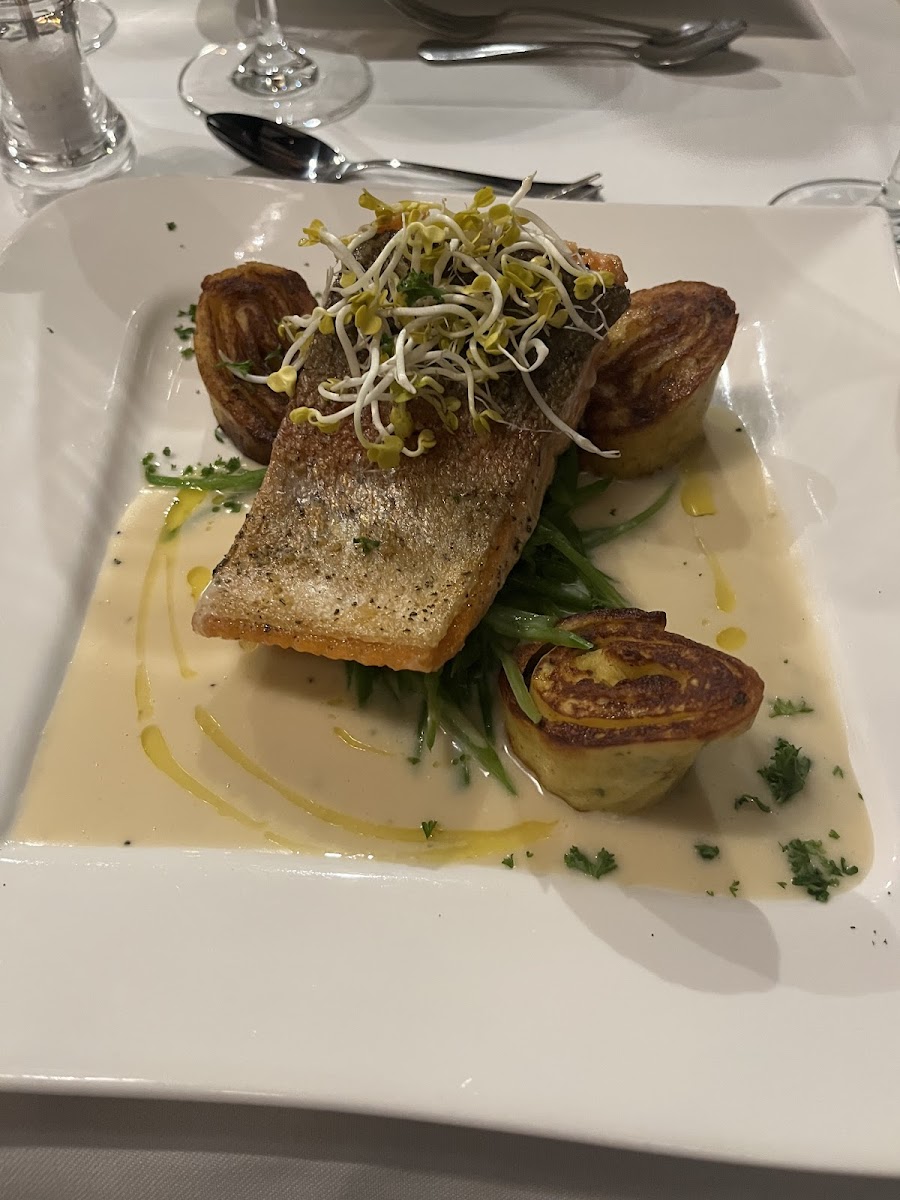 Tobi bei Linneweber Photo 3