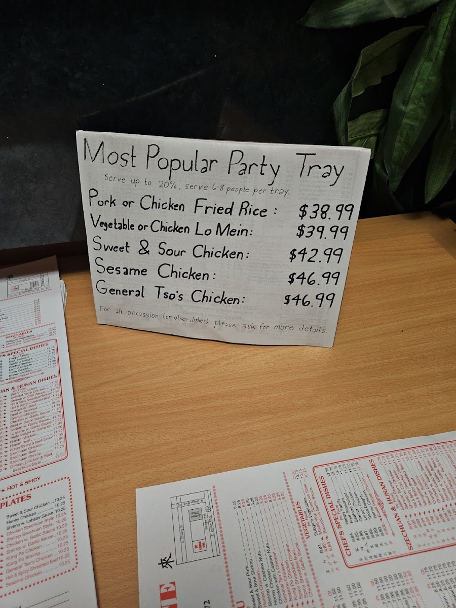 China One Photo Menu 1