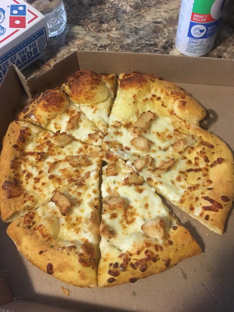 Domino's Pizza Photo 8