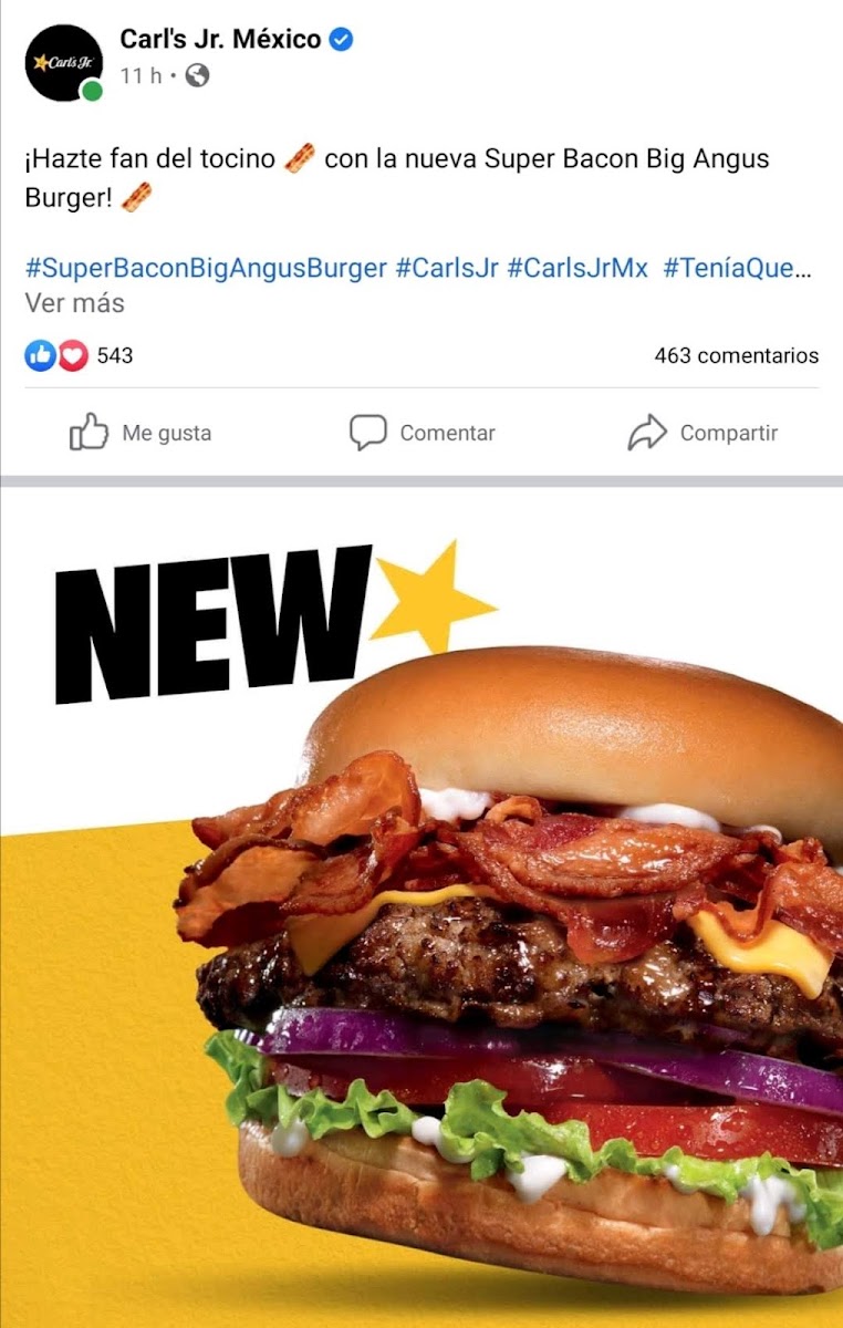 Carl's Jr Photo Menu 3